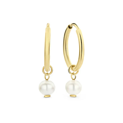 Delia Crest 14k Gold Earrings