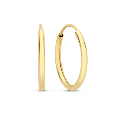 Noémie Sorel 14k Gold Earrings