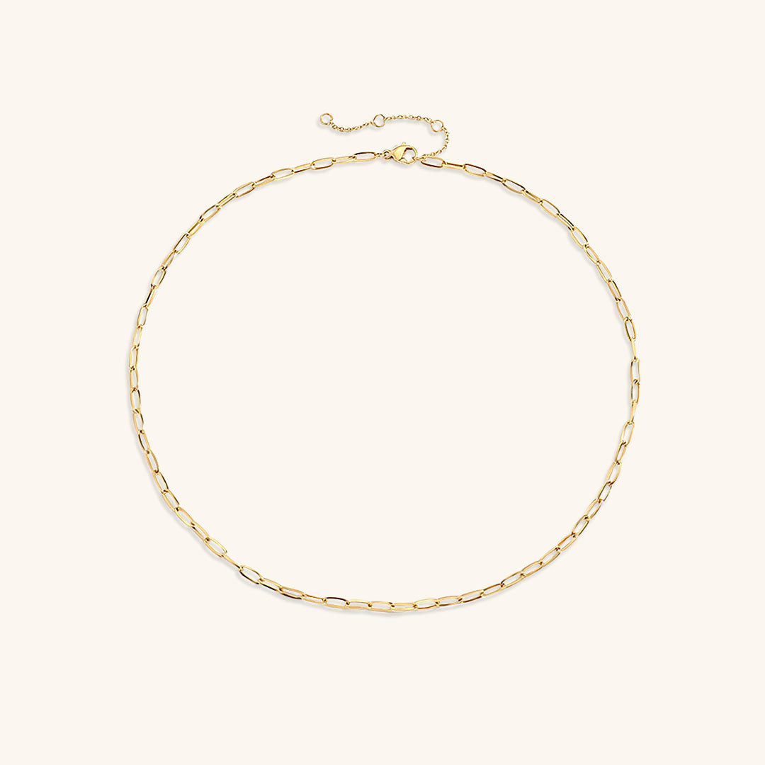 Nadia 14k Gold Necklace with Paperclip Design