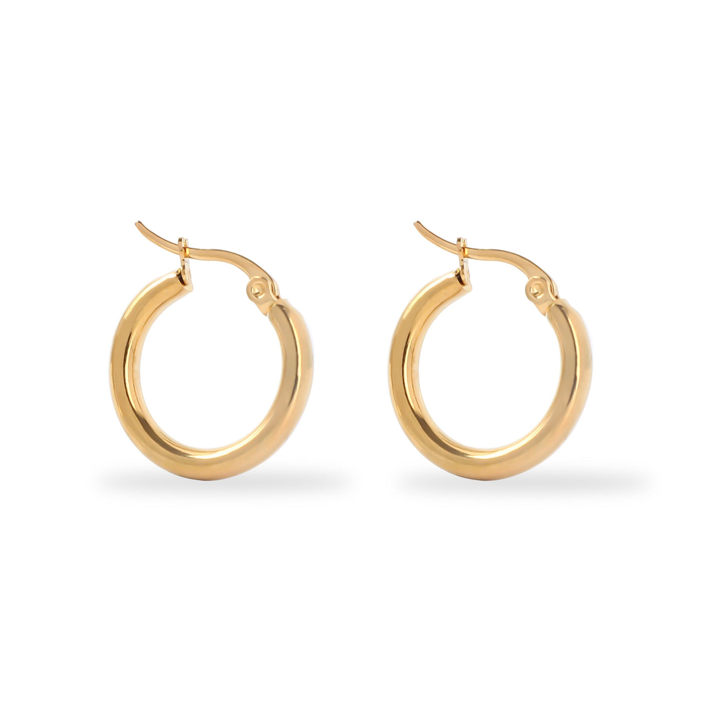 Classic Gold and Silver Hoop Earrings