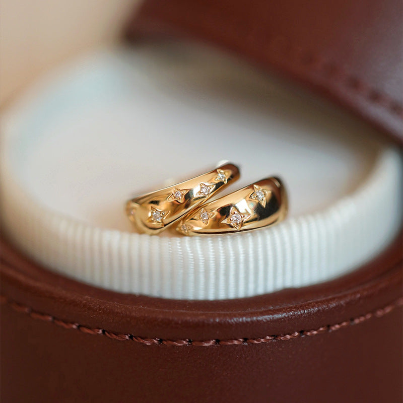 Elegant Gold and Silver Earrings