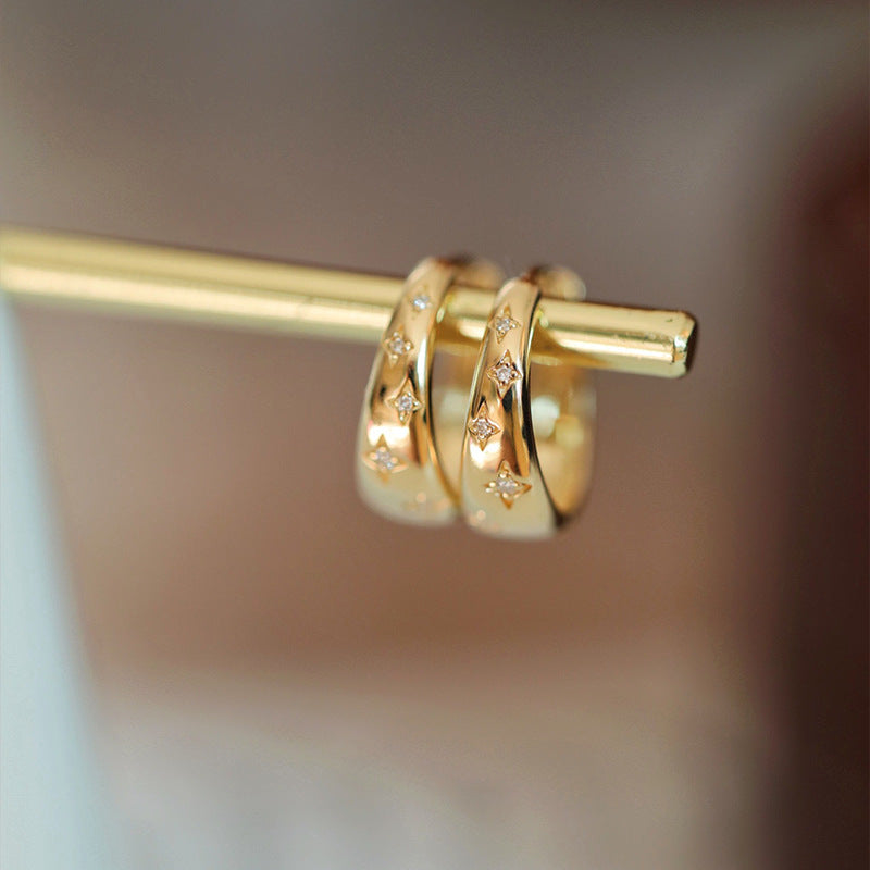 Elegant Gold and Silver Earrings