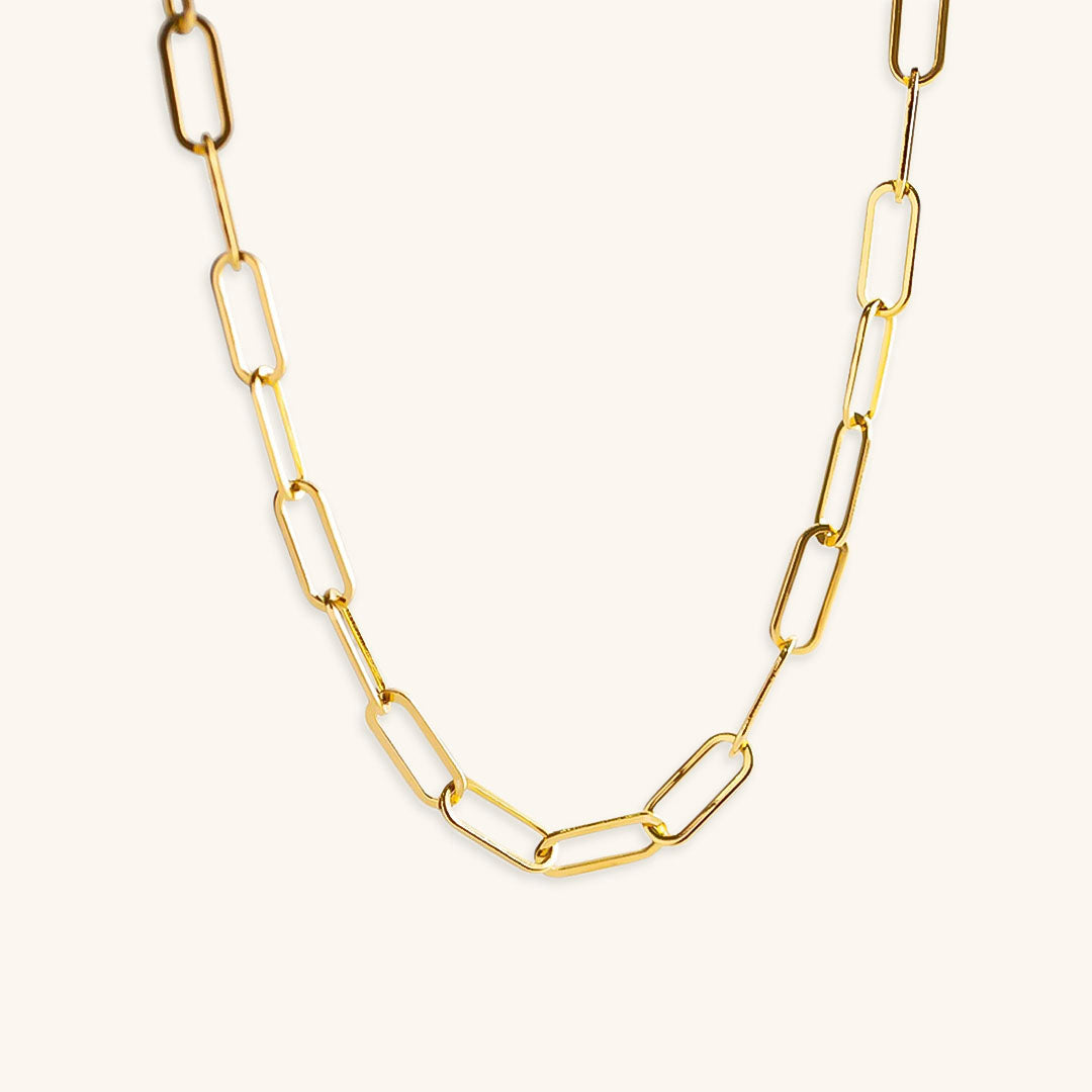 Ria 18k Gold Necklace with Clip Accents