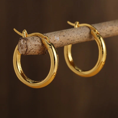Classic Gold and Silver Hoop Earrings