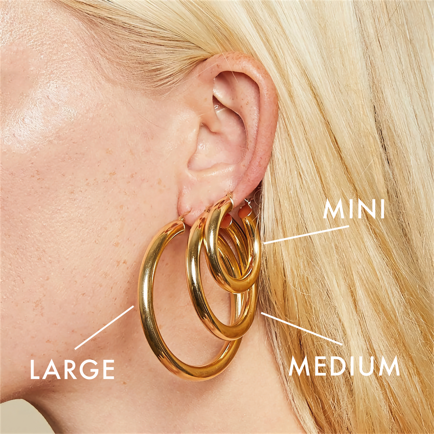 Chic Wide Round Earrings in 18k Gold